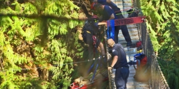 Multiple rescues keep firefighters busy across the North Shore