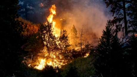 B.C. forest industry faces big setbacks after summer of wildfires