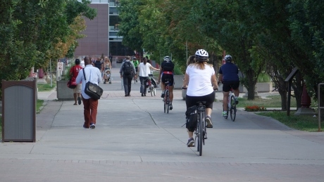 Phoenix payroll fiasco affecting 3 in 10 federal student workers