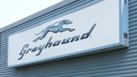 ‘I’m fully committed’: B.C. minister of transportation to go into talks with Greyhound Canada