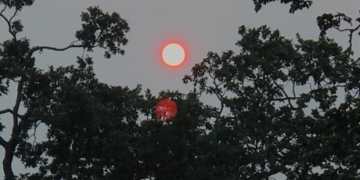 Vancouver Island Health Authority expects spike in childhood asthma hospitalizations