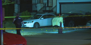 More efforts needed to prevent youth turning to gangs, say police and educators