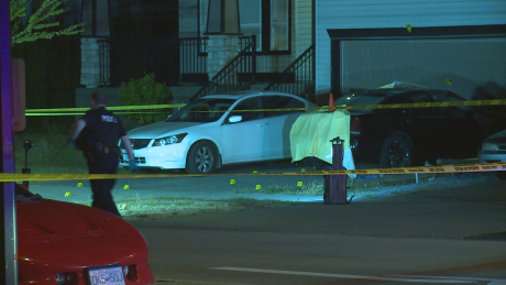 More efforts needed to prevent youth turning to gangs, say police and educators