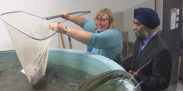 UBC gets $42 million from Ottawa for sciences and engineering