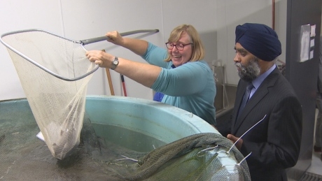 UBC gets $42 million from Ottawa for sciences and engineering