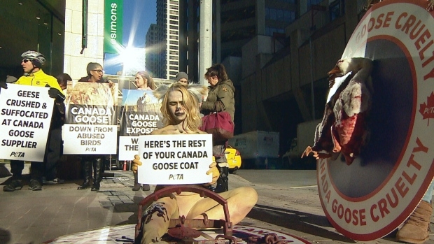 PETA targets Alberta coyote trappers with Canada Goose protest