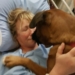 'Glad to be alive': rescued dog walker Annette Poitras released from hospital