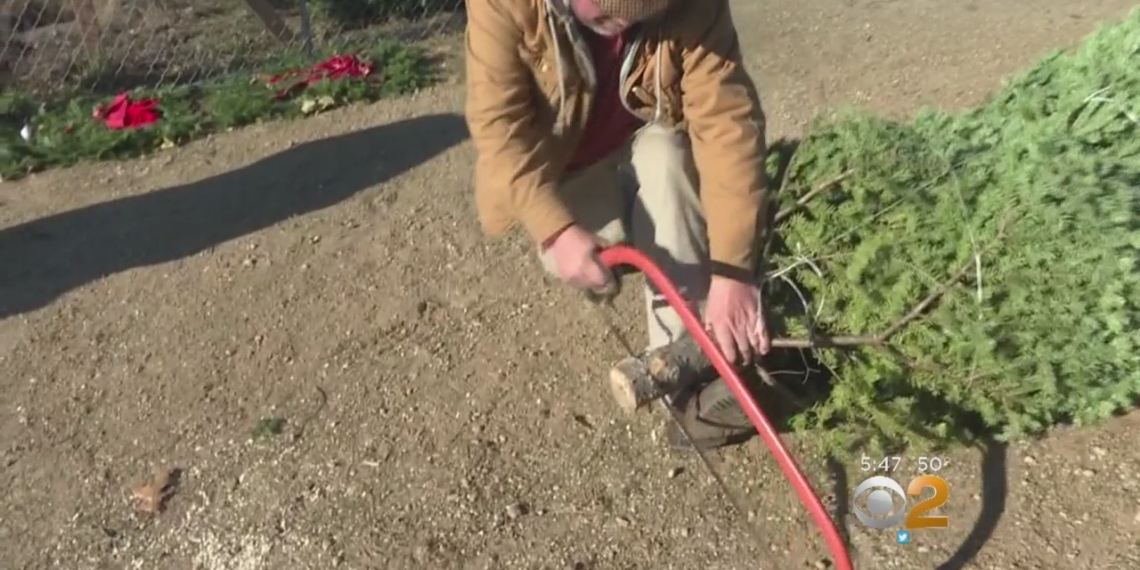 'Tis the season for holiday injuries