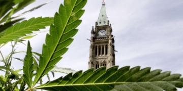 Federal marijuana legislation expected to clear House of Commons tonight