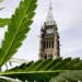 Federal marijuana legislation expected to clear House of Commons tonight