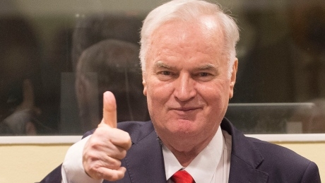 Hearing on judgment for former Bosnian Serb general Mladic begins