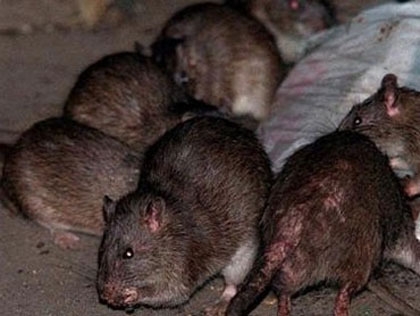 School forced to stop serving hot lunches