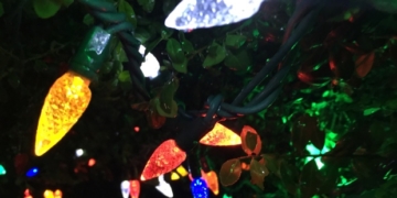'Go nuts': Few limits for Christmas lighting choices