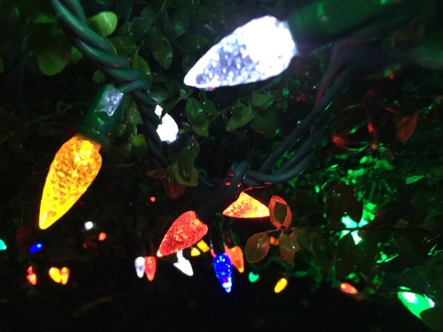 'Go nuts': Few limits for Christmas lighting choices