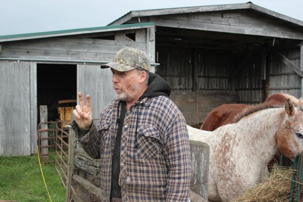 Highlights: Statistics Canada's final release of 2016 census data