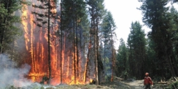 New Cariboo Regional District chair to take over wildfire recovery in the region