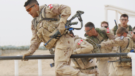 Mosque attack a reminder of threat to Canadian Sinai force