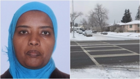 Sound of hit-and-run that killed Farida Abdurahman still haunts neighbour, as man charged heads to court