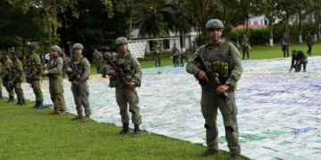 Colombia seizes 11 tonnes of cocaine, its biggest haul ever