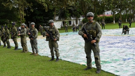 Colombia seizes 11 tonnes of cocaine, its biggest haul ever