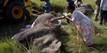 India passenger train hits and kills 2 Asian elephants