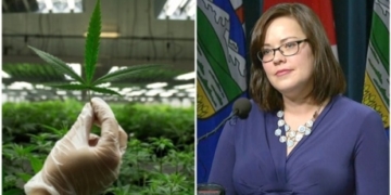 Pot to be sold in Alberta private stores, on government website