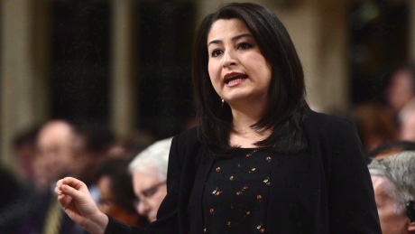 Cabinet minister still waiting on citizenship paperwork after birthplace revelation