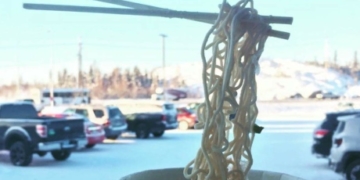 Gravity-defying frozen noodles take internet by storm