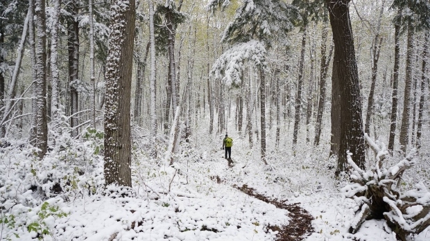 Surfing, scuba diving and snowshoeing: making the most of B.C.'s winter