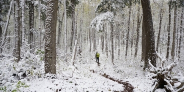 Surfing, scuba diving and snowshoeing: making the most of B.C.'s winter