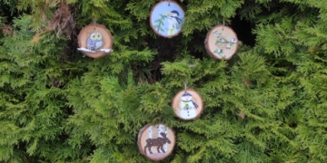 Mystery ornament angel spreads Christmas cheer in Vernon, B.C.