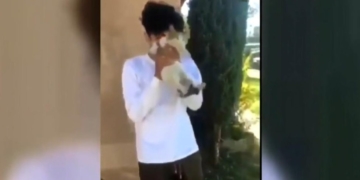 Police hunt for suspect in California cat abuse video