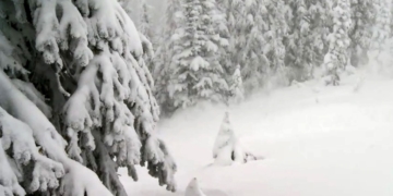 Skier dies after falling off cliff into deep snow at Big White