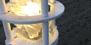 Vandalized lights along Kelowna, B.C., waterfront could cost $40K to fix