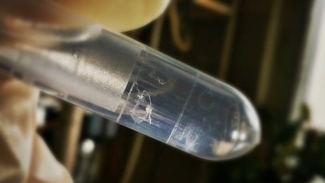 Is a do-it-yourself gene editing kit on your holiday wishlist?