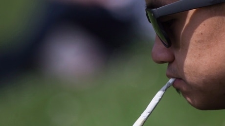 Pot black market isn’t expected to disappear even as marijuana becomes legal