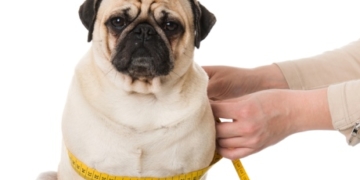 Is losing weight your New Year’s resolution? You might want to rethink that