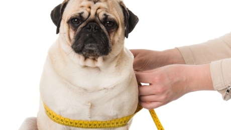 Is losing weight your New Year’s resolution? You might want to rethink that