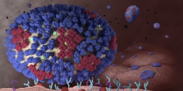 Calgary bearing brunt of flu season in Alberta, numbers show