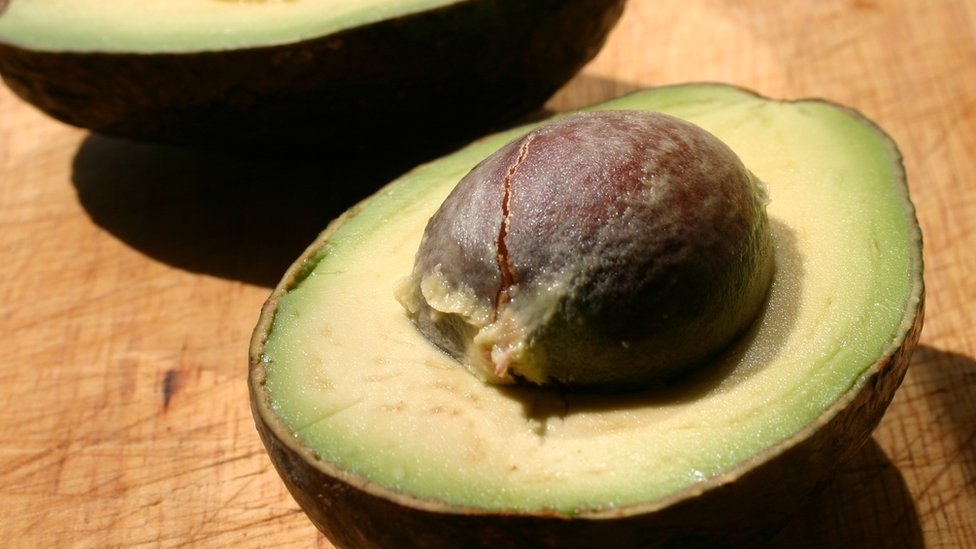 Hawaii avocado: Huge 'head-sized' fruit in world record bid