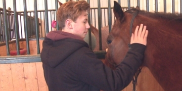 'I'm not as bad a person as I thought': Horse therapy helps LGBTQ youth find their safe place