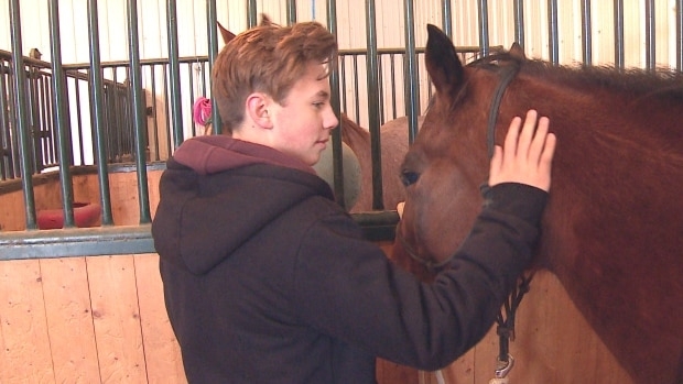 'I'm not as bad a person as I thought': Horse therapy helps LGBTQ youth find their safe place