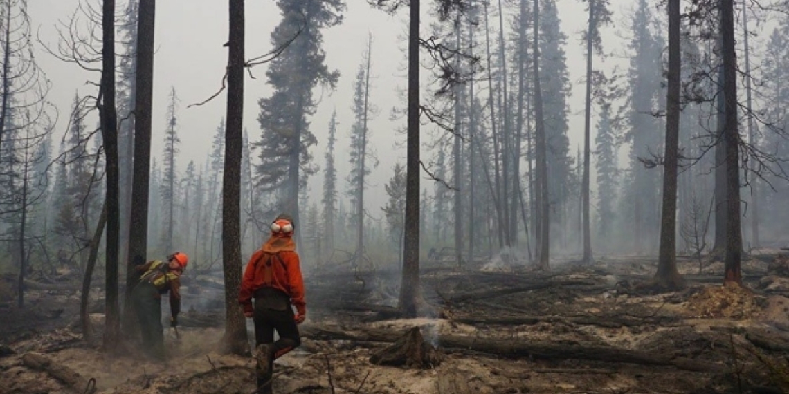 John Horgan appoints Indigenous leader and former Liberal minister to review wildfire, flood responses