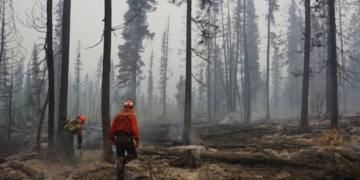 John Horgan appoints Indigenous leader and former Liberal minister to review wildfire, flood responses