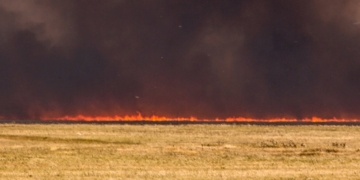 Farmers hit by fall wildfires to receive help from Alberta government
