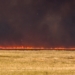 Farmers hit by fall wildfires to receive help from Alberta government