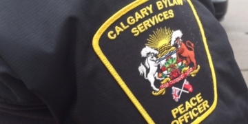 3-year-old girl seriously injured by dog bite in northeast Calgary