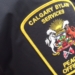 3-year-old girl seriously injured by dog bite in northeast Calgary