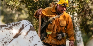 California mudslide: 'Window closing' to find more survivors