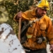 California mudslide: 'Window closing' to find more survivors